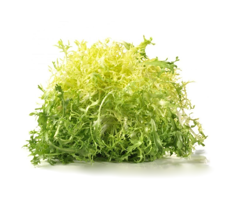 Салат Фризе Желтый 10 шт +-450 г