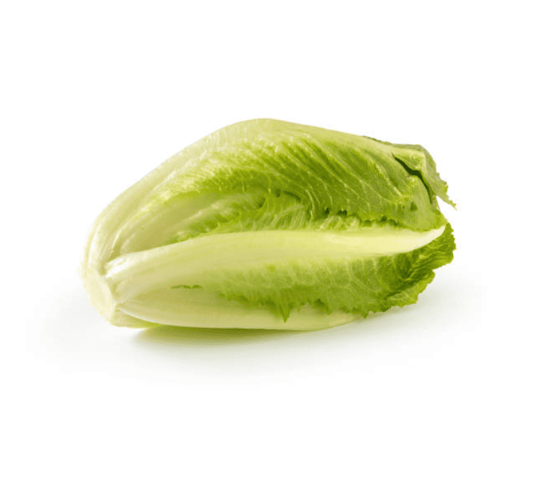 Салат Романа 'LUCAS'