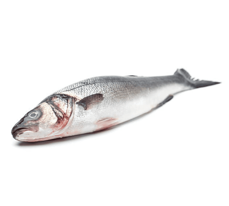 Дикий сибас 2-4 кг поймана на удочку