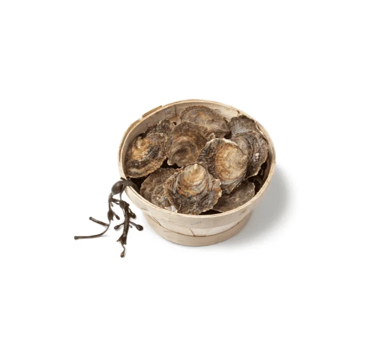 Устрицы плоские Edulis Petite №5