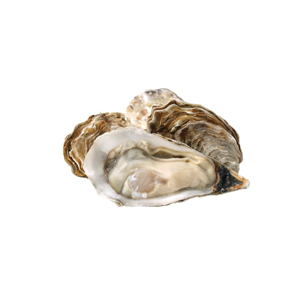 Устрицы Jose'phine N3