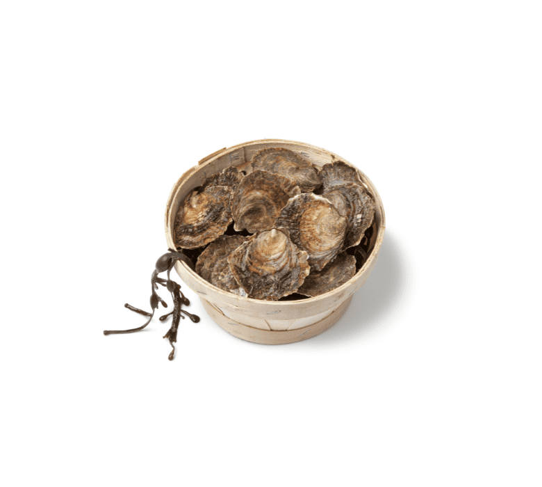 Устрицы Плоские Ostrea Edulis TRES GROSSE 86 - 105 GR X 25 PCS